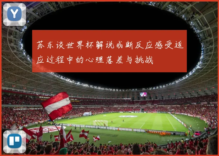 苏东谈世界杯解说戒断反应感受适应过程中的心理落差与挑战