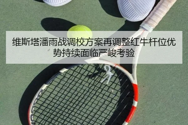 维斯塔潘雨战调校方案再调整红牛杆位优势持续面临严峻考验